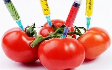 عوارض  محصولات تراریخته برای سلامتی
