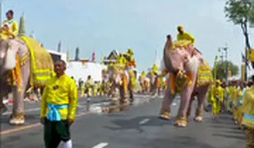 ادای احترام فیل‌ها به پادشاه تایلند