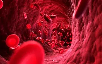  وقتی خون به خوبی در پاها گردش نمی‌کند فرد دچار چه مشکلاتی می شود