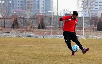 توافق اولیه پرسپولیس با ستاره مورد علاقه پرسپولیس