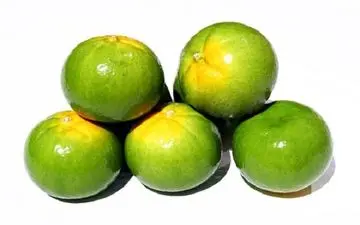 این نوع  نارنگی را نخرید