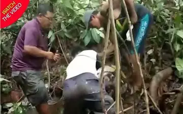 حمله مار پیتون ۹ متری به ماهیگیر! +فیلم 