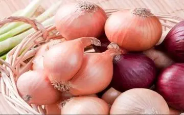  7 دستگاه کامیون حامل پیاز قاچاق توقیف شد