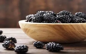 توت سیاه حتما بخورید! | اگه بدونی توت سیاه چقدر خاصیت داره راحت از کنارش رد نمیشی