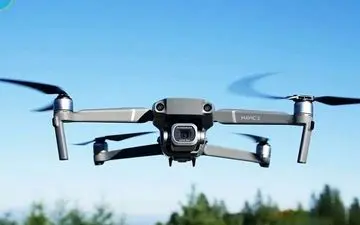 کشف شمار زیادی ریزپرنده‌ در استان بوشهر