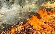 آتش‌سوزی در فضای سبز بلوار وکیل‌آباد مشهد مهار شد
