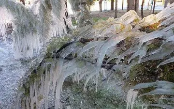 پیش‌بینی یک یخبندان 10 روزه