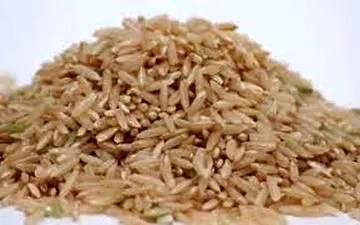 فواید و مضرات برنج قهوه ای