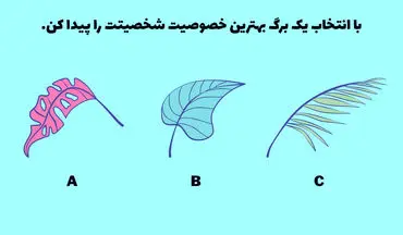 تست شخصیت؛ با انتخاب یک برگ بهترین خصوصیت خود را کشف کنید!
