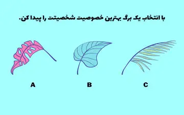 تست شخصیت؛ با انتخاب یک برگ بهترین خصوصیت خود را کشف کنید!
