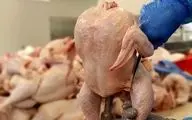 قیمت روز انواع مرغ ۱۸ شهریور ۱۴۰۴ اعلام شد