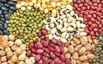  افزایش شدید قیمت حبوبات/ گرانی بیشتر در راه است 