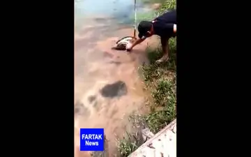 نجات یک سگ از حصار شکارچی + فیلم