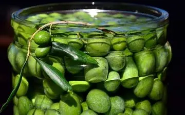 تلخی زیتون را اینگونه بگیرید!