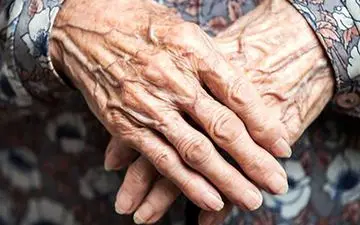 
مادر بزرگی که رییس باند نوه های دزدش بود!