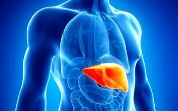 بیماری هپاتیت سال‌ ها بدون علامت است!