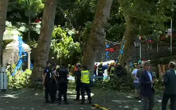 سقوط یک درخت فاجعه به بار آورد