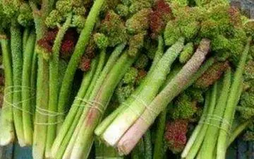 این خوراکی ترش، قلب و کبدتان را نجات می‌دهد