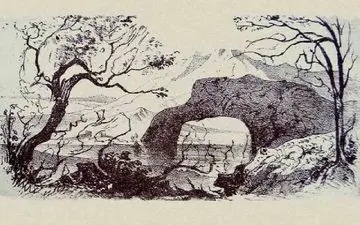 تست هوش/ آیا می‌توانید ۱۱‌حیوان پنهان شده در تصویر را پیدا کنید؟