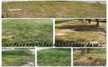 وظیفه شهرداری نهاوند چیست؟