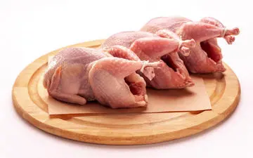 فواید و مضرات گوشت بلدرچین برای بدن