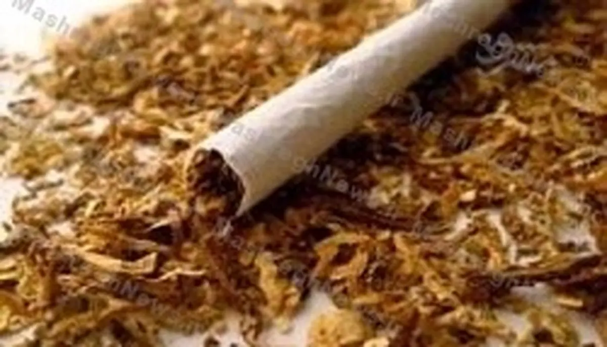 واردات توتون و تنباکو پس از برجام رکورد زد +جدول 