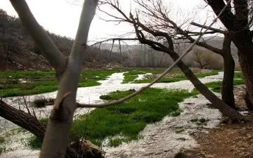 شهرگهواره؛ مهد تنبورسازی + تصاویر