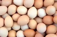 رازهای ناگفته تخم مرغ محلی/ از اسطوره درمان کم خونی تا واقعیت علمی
