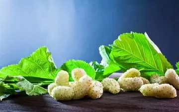 این میوه کوچک و خوشمزه عمرتان را زیاد می کند