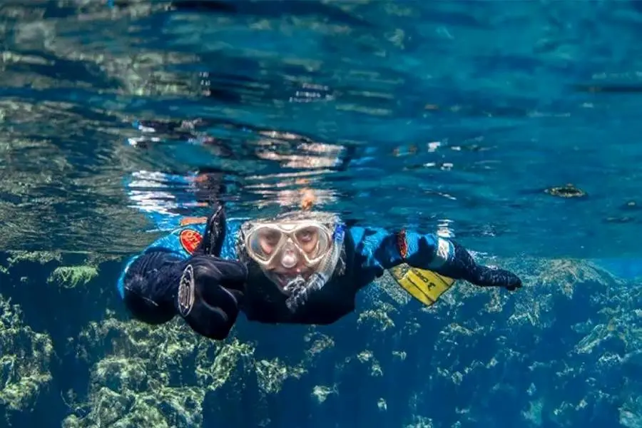 شنا، غواصی و اسنورکلینگ