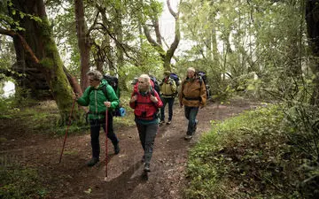 درمان استرس با جنگل نوردی