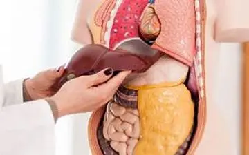 اگر داروی زیادی مصرف میکنید این مطلب را از دست ندهید!