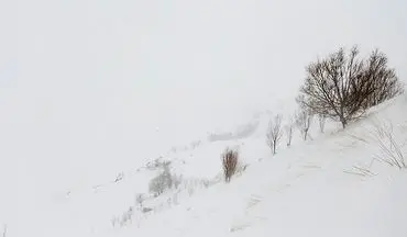 خانوارهای عشایری گرفتار در برف کوهدشت نجات یافتند