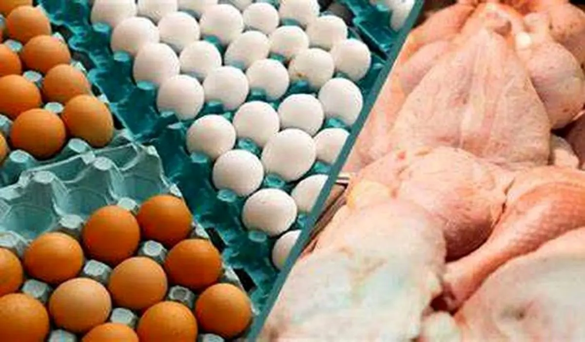 قیمت مرغ و تخم مرغ در بازار امروز (۱۴۰۰/۰۵/۰۳) + جدول 