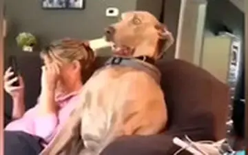 عجیب‌ترین حرکات ثبت‌شده از حیوانات