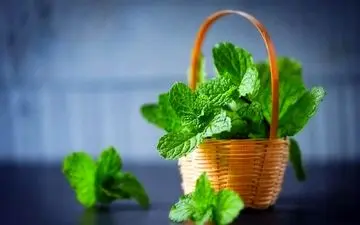 قبل از خواب این نوشیدنی را بنوشید تا خروپف نکنید