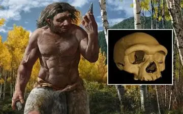 «مرد اژدها» زنده شد | کشف جمجمه‌ای شگفت‌انگیز از پسرعموی فراموش‌شده انسان