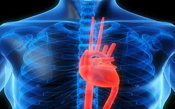 تاثیر قلب بیمار در روابط زناشویی