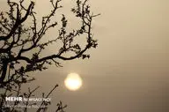 آلودگی هوا در خوزستان؛ ۱۲۰۰ نفر راهی بیمارستان شدند

