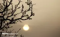 آلودگی هوا در خوزستان؛ ۱۲۰۰ نفر راهی بیمارستان شدند
