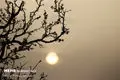 آلودگی هوا در خوزستان؛ ۱۲۰۰ نفر راهی بیمارستان شدند
