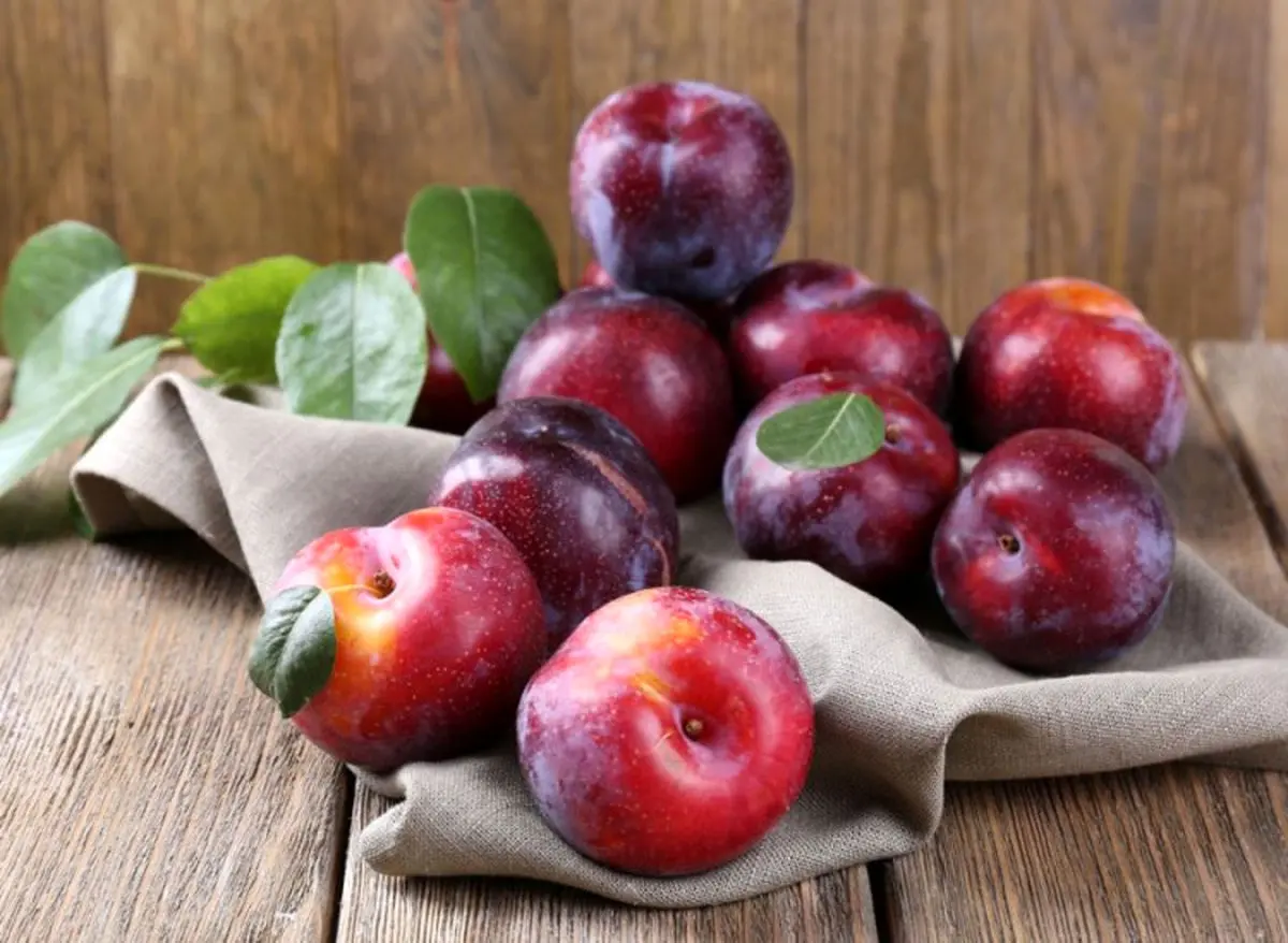 این میوه سیاه تابستانی خون شما را تمیز می‌کند