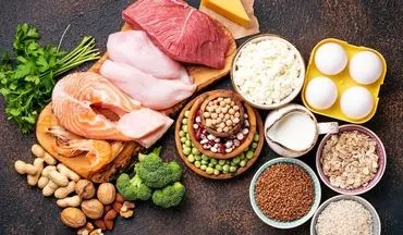 علائم کمبود پروتئین؛ ۹ نشانه‌ای که باید جدی بگیرید