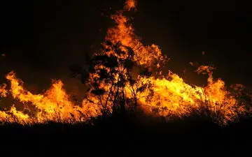 اطفای حریق در ۶ هکتار از مراتع کرج - کندوان