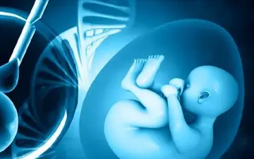 ناباروری؛از  علت تا راه‌های پیشگیری از آن

