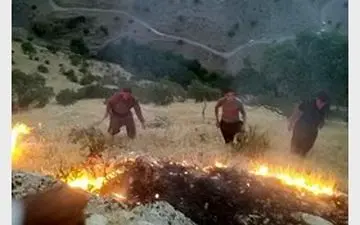 فوری/آتش سوزی در جنگل های بدره ایلام/حریق ادامه دارد