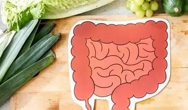 این۶ خوراکی دوست روده هستند!