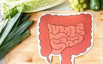 این۶ خوراکی دوست روده هستند!