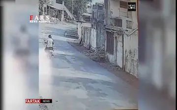 حمله میمون‌ها به مردم! + فیلم