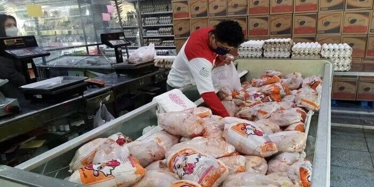 مرغ دوباره گران شد / فیله مرغ 130 هزار تومان!
